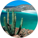 Noelia Sánchez Corona profile picture