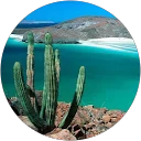 Noelia Sánchez Corona profile picture